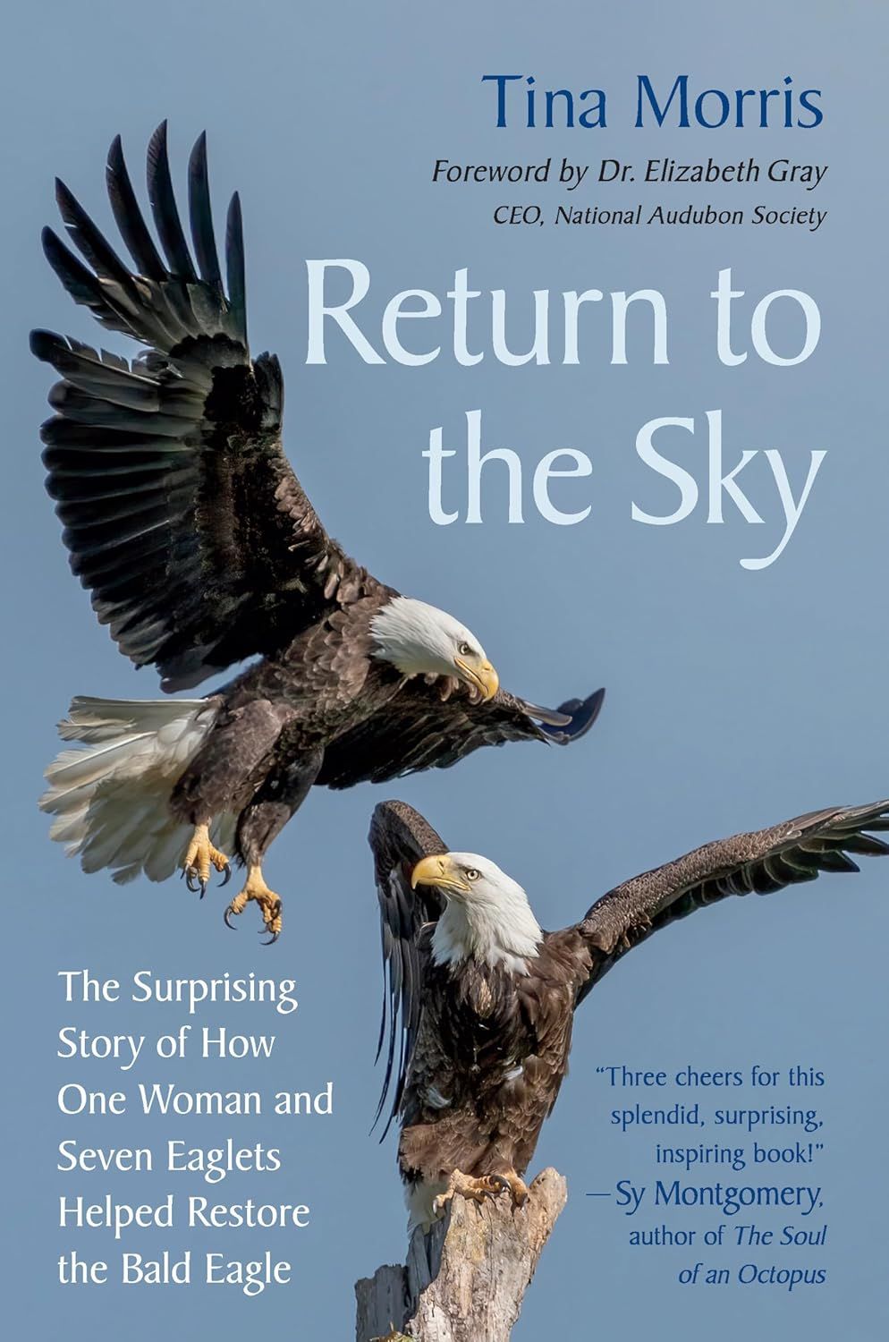 Book - Return to the Sky