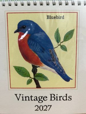 Desk Calendar - Birds