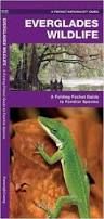 Folding Guides, Design: Everglades Wildlife