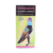 Folding Guides - Birds, Design: Hummingbirds