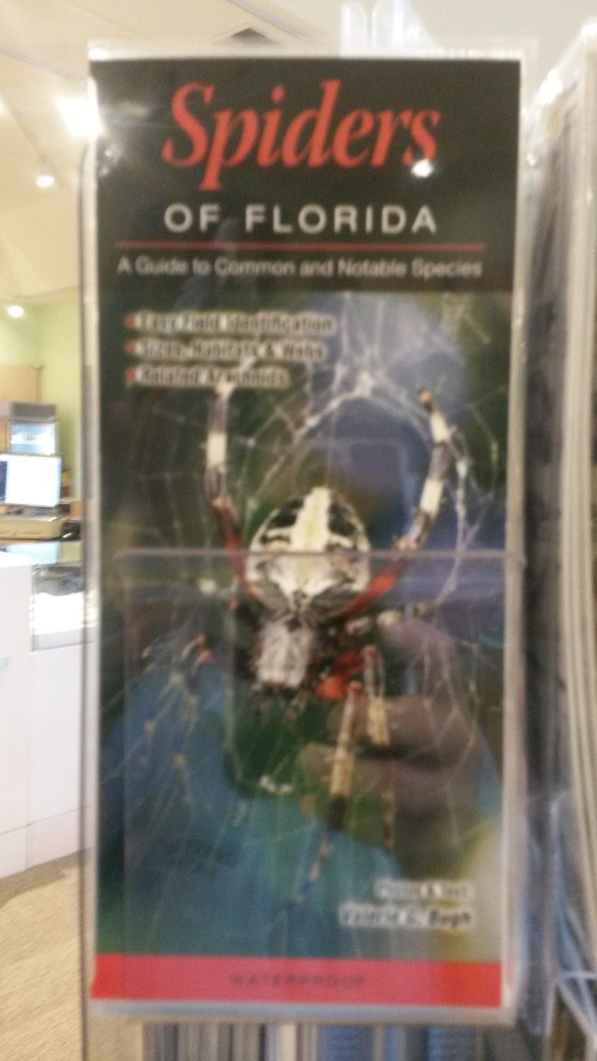 Folding Guides - Spiders &amp; Insects, Design: Spider