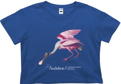 T-Shirt - Ladies Crop Spoonbill