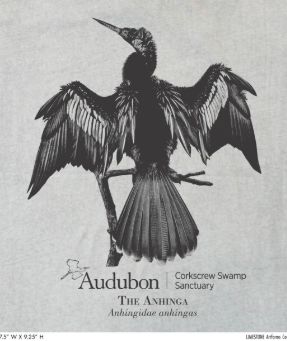 T-Shirt - Anhinga