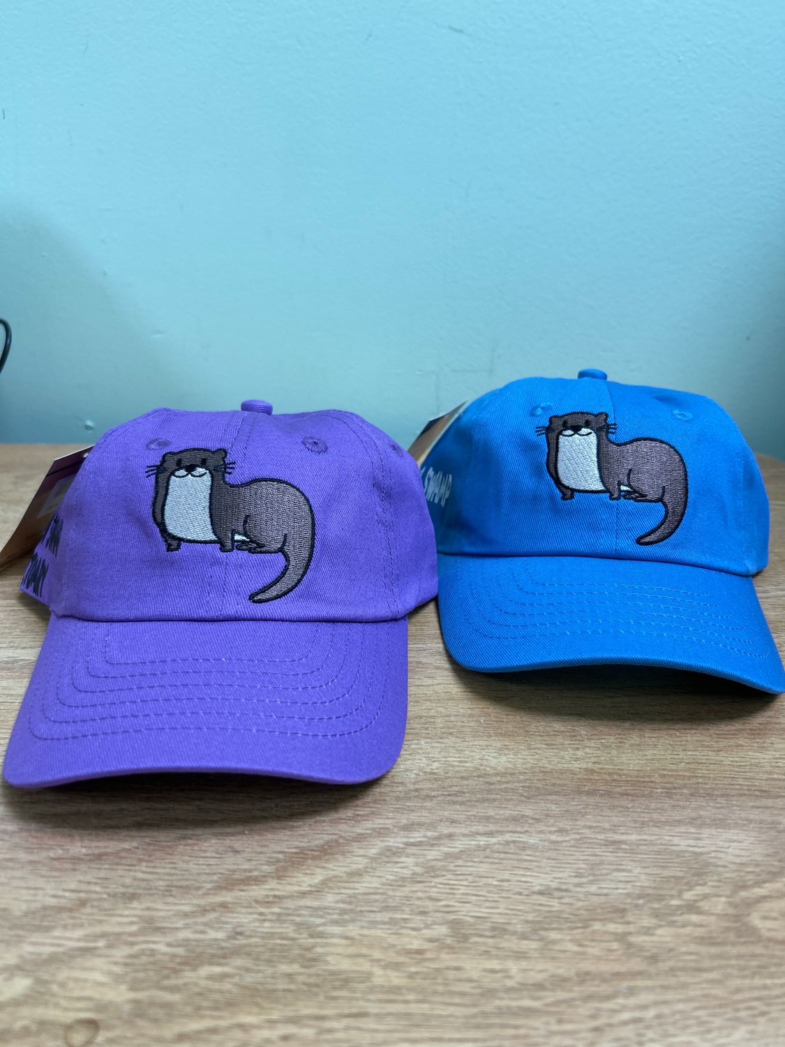 Toddler Cap, Design: Otter Blue