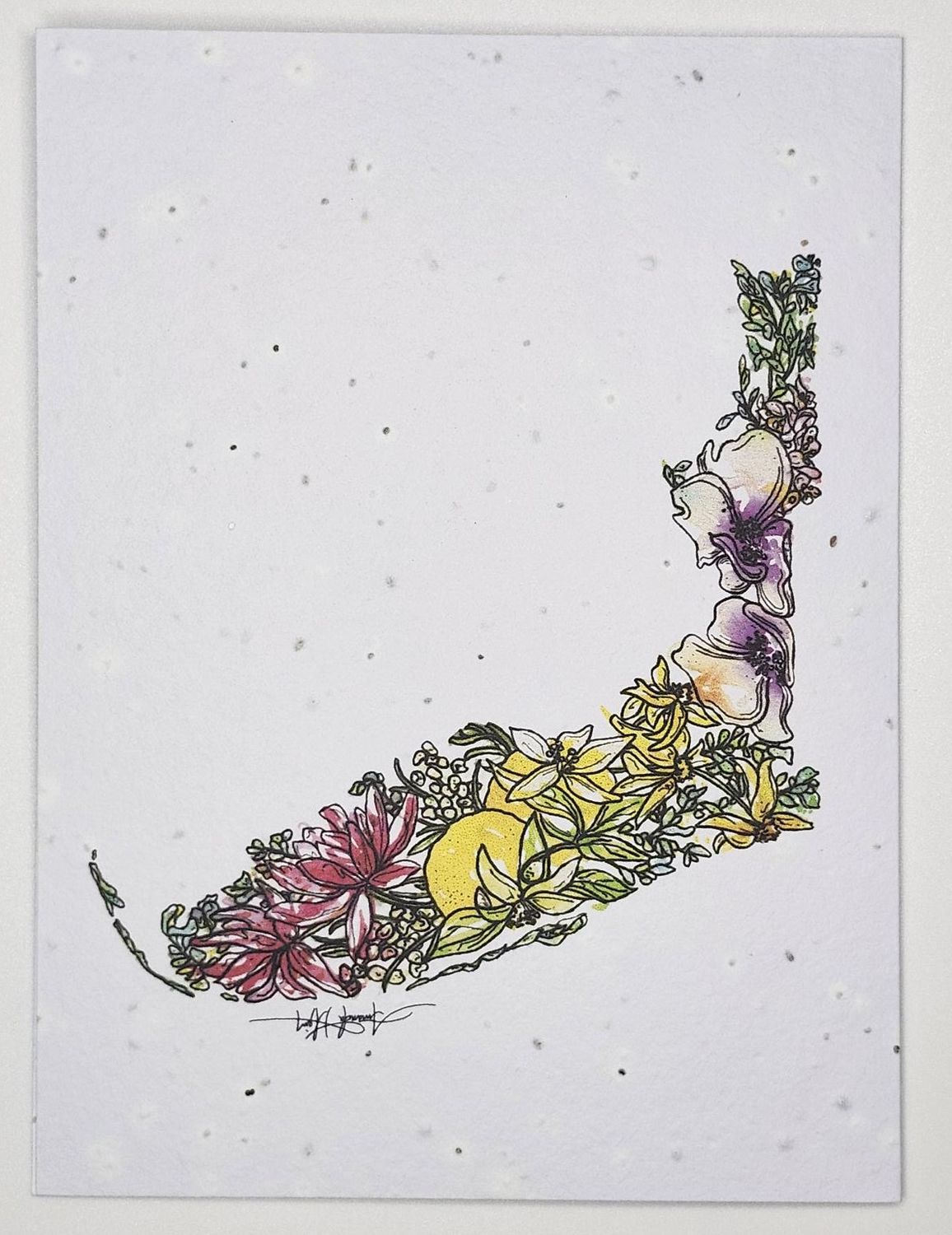 Plantable Notecards, Design: Florida