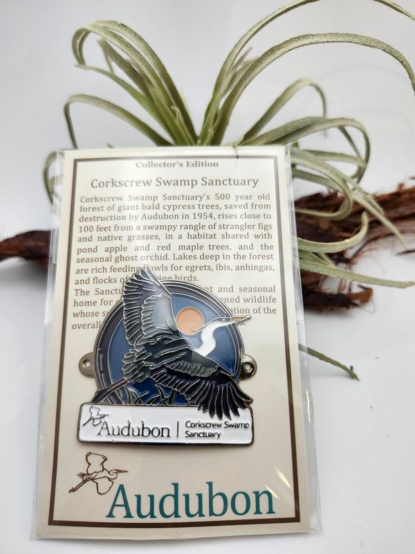 Hiking Medallions