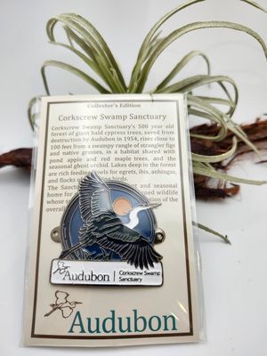 Hiking Medallions