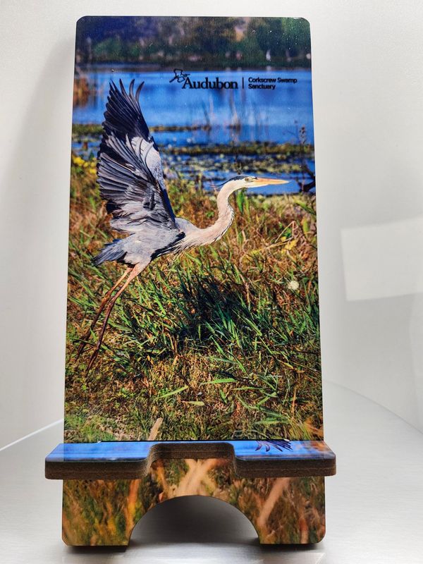 Phone Stand