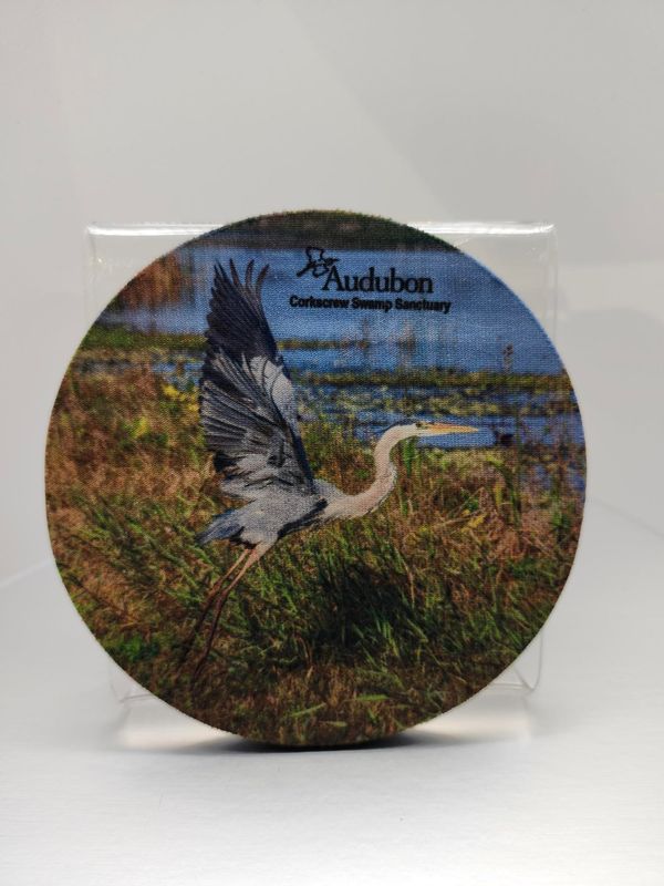 Photographic Coasters