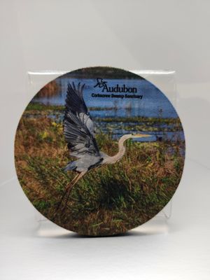 Photographic Coasters