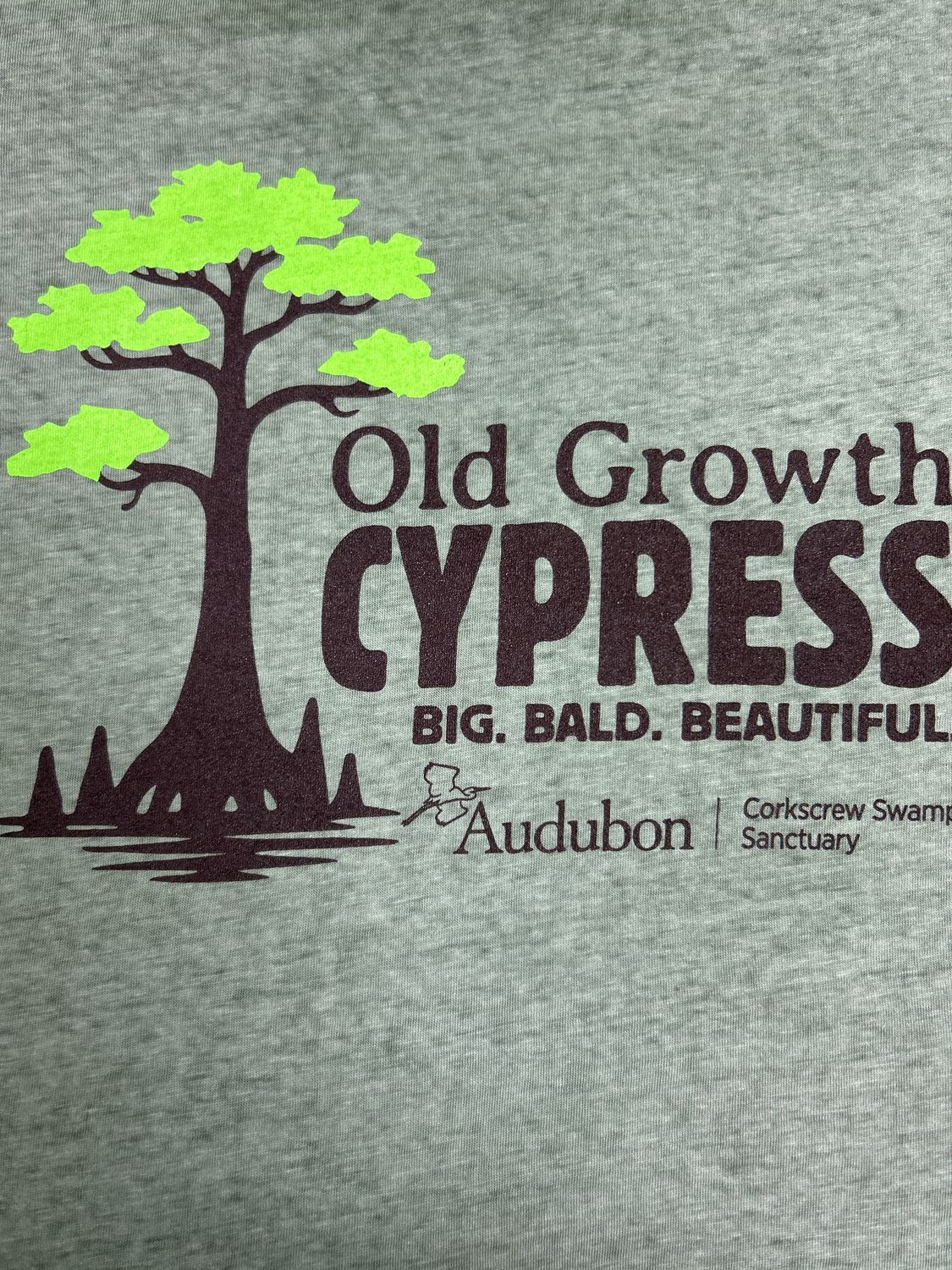 T-Shirt - Old Growth Cypress, Size: S