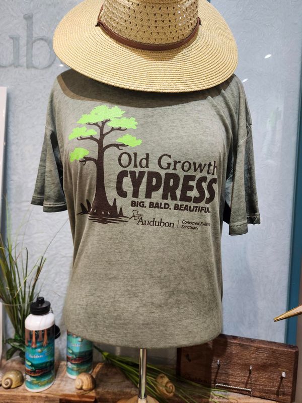 T-Shirt - Old Growth Cypress