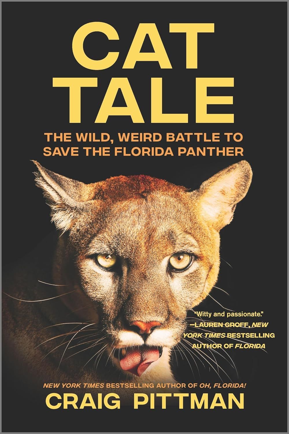 Book - Cat Tale