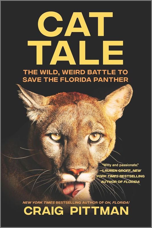 Book - Cat Tale