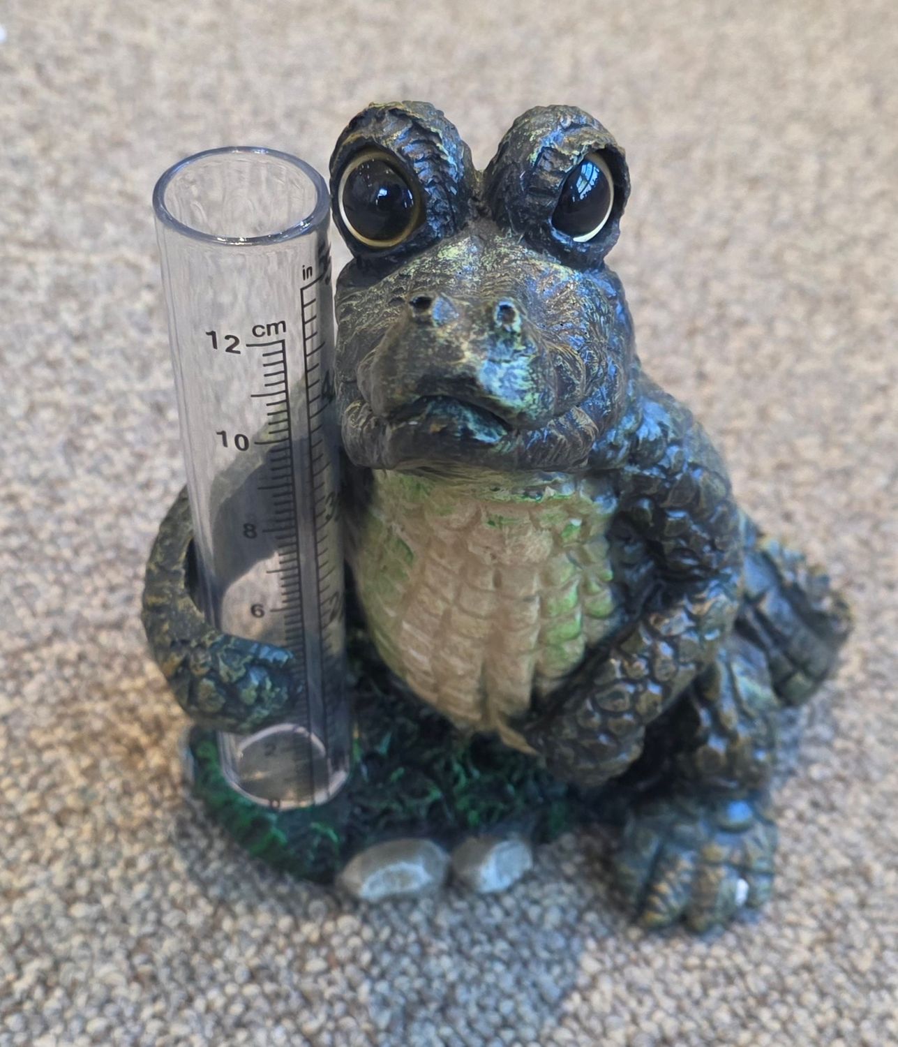 Rain guage - Alligator