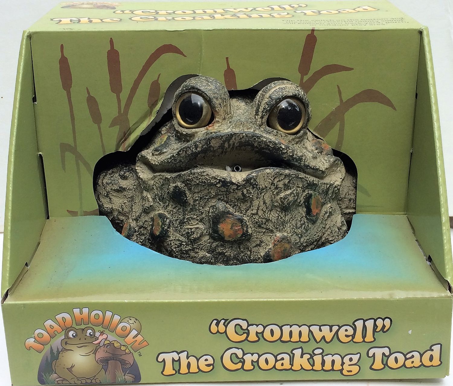 Croaking Toad, Color: Brown