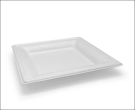 10 Inch Square Plates (600)
