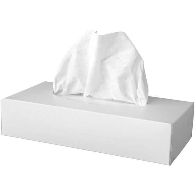 Town & Country Facial Tissues 100's(48 Pkt)