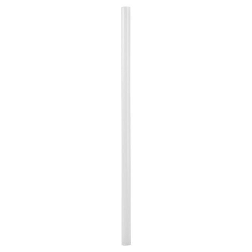 Regular Paper Straws Compost (2500)
