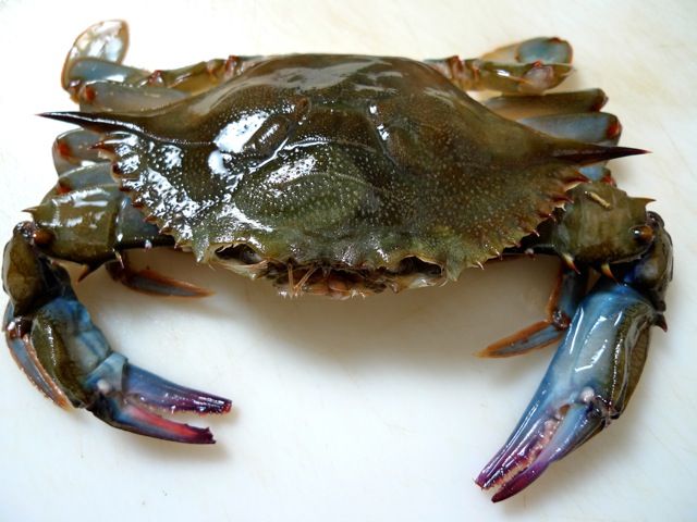 Crab Soft Shell 120-150g 1kg Pk
