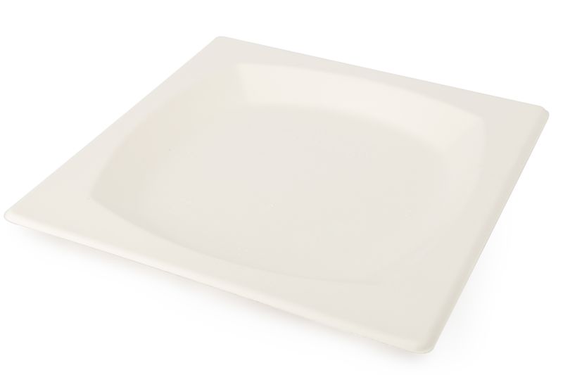 10 Inch Square Plates (500)