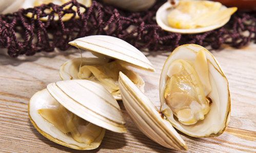Clam Whl Ckd 40-60 1kg Pk