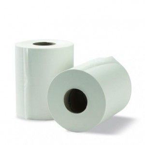 Centrefeed Hand Towel / 320mx19cm (6)