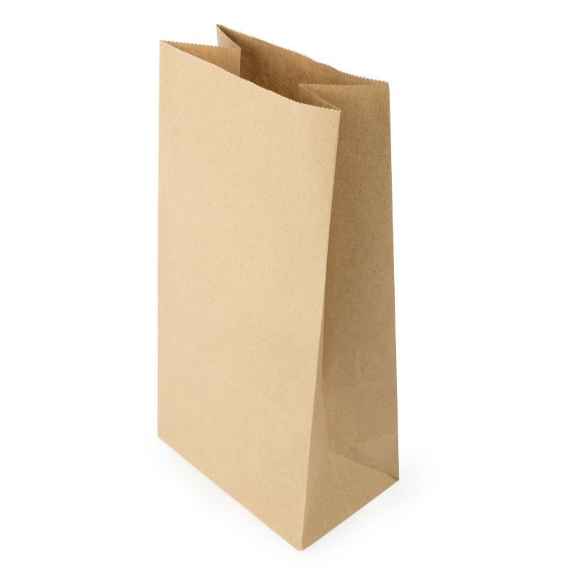 Brown Paper Bag Medium 315x160x102mm