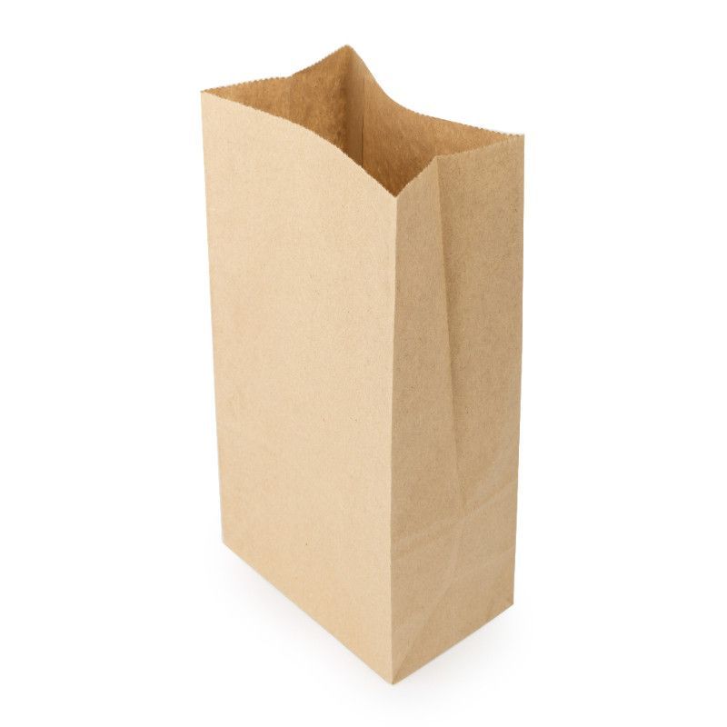 Brown Paper Bag Baby 248x127x80mm