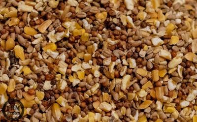 Chicken Feed 3-Way Scratch Feed FRM