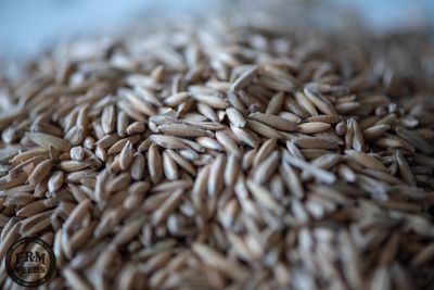 Whole/Feed Oats