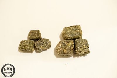 Stampede Alfalfa Cubes