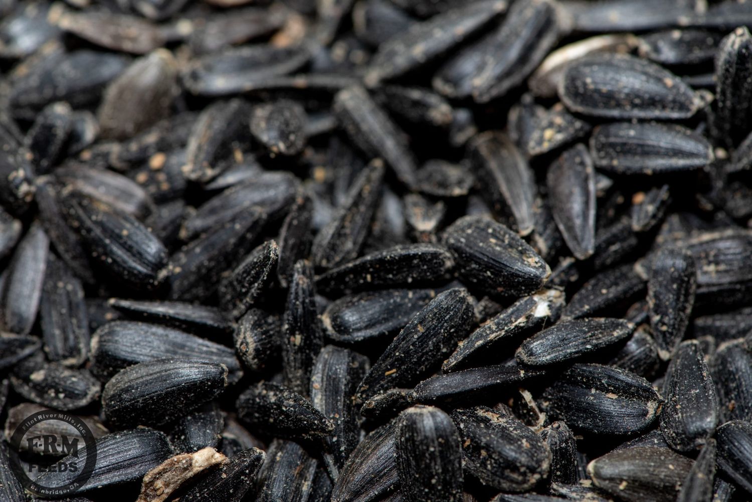 Black Sunflower Seed