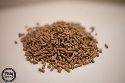 All Stock 12 Pellets