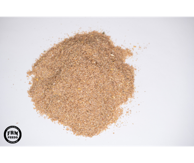 Cricket &amp; Worm Feed