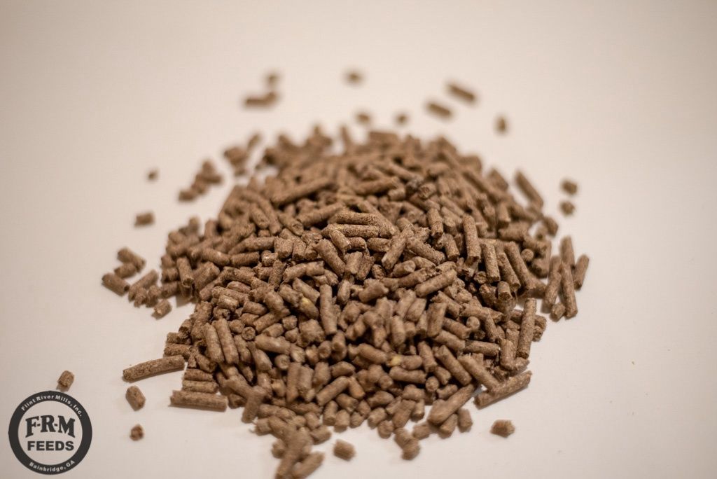 Horse Feed Paradigm Cool Balance