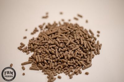 Horse Feed Paradigm Cool Balance