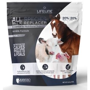 Milk Replacer - All Species