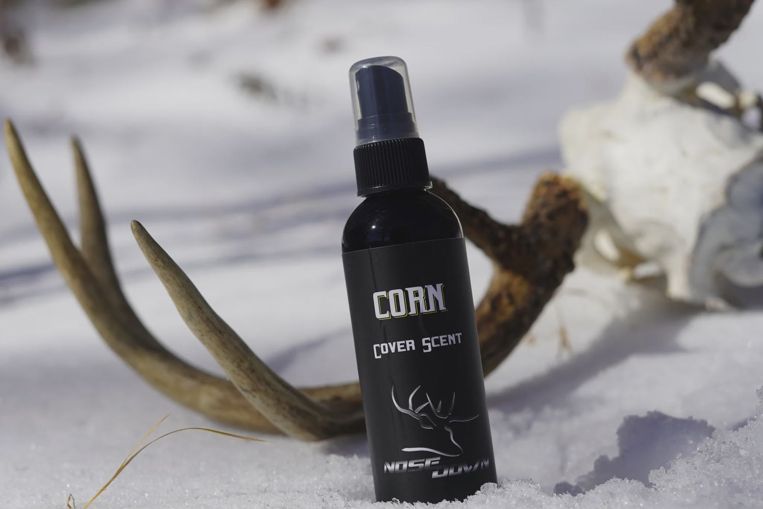 Corn Cover Scent