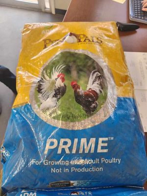 Chicken Feed Show Pen Pals Prime ADM