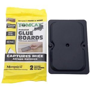 Mouse Glue Board Tomcat