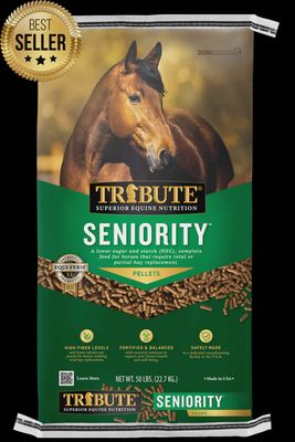 Horse Feed Tribute Seniority