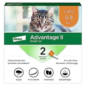 Adantix Cat