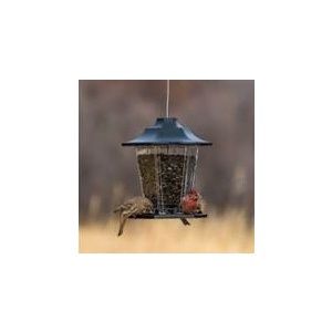 Carriage Bird Feeder