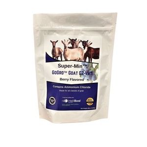 Super-Min GoGro Goat