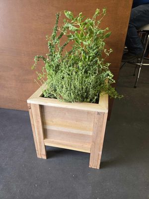 Cedar Planter