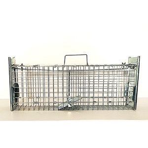 Single Door Trap