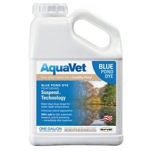 Blue Pond Dye