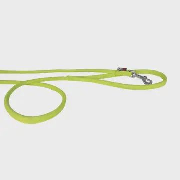 Dog Leash, Colour: Green