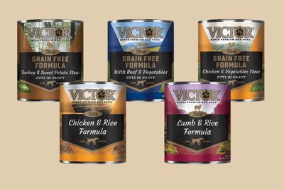 Canned Dog Food